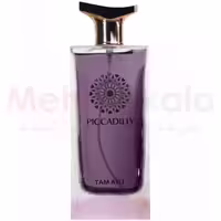 ادوپرفیوم مردانه تام آیلی مدل PICCADILLY – عطر ادکلن بولگاری تایگار