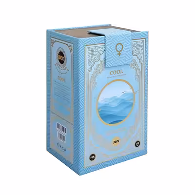 ادوپرفیوم زنانه آر بی سی استوری مدل COOL حجم 100 میلی لیتر 