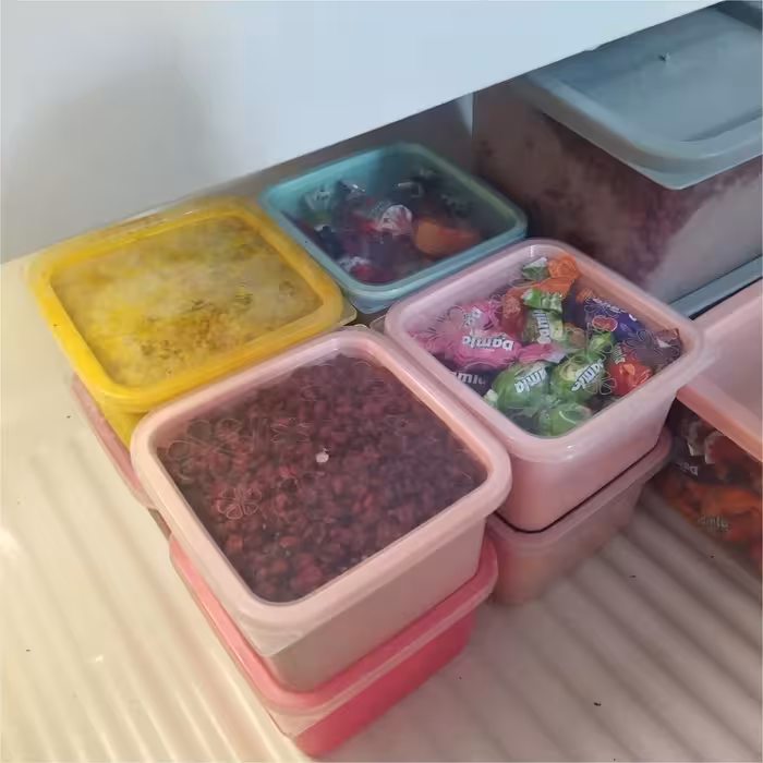 ظرف نگهدارنده مدل فریزری 600cc بسته 10 عددی