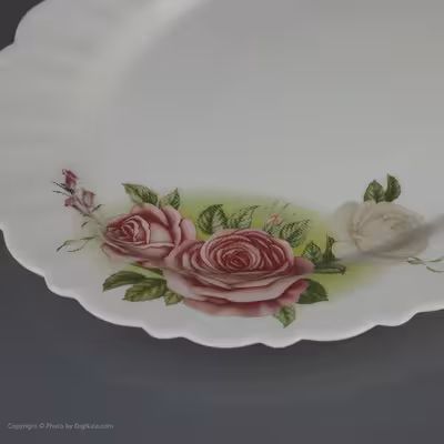 سرویس غذا خوری 25 پارچه آیروپال طرح گرد مدل کازالیکا