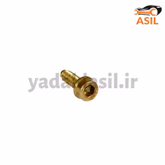 پیچ دور کارتل پژو آلن