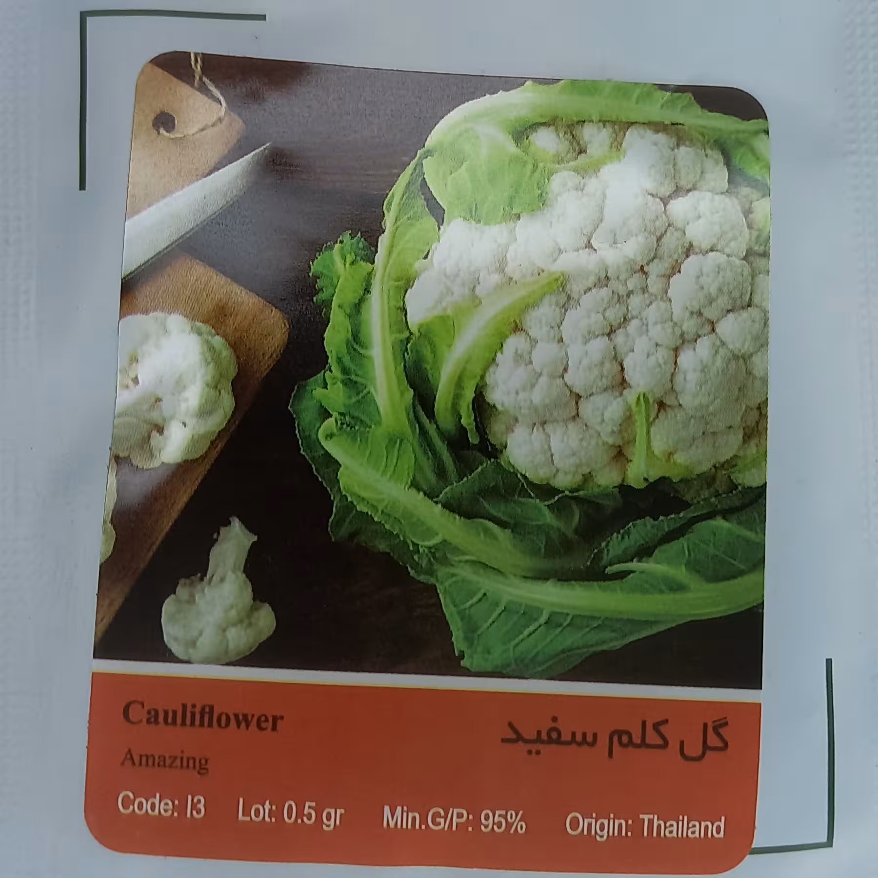 بذر گل کلم سفید