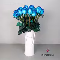باکس گل ساغر