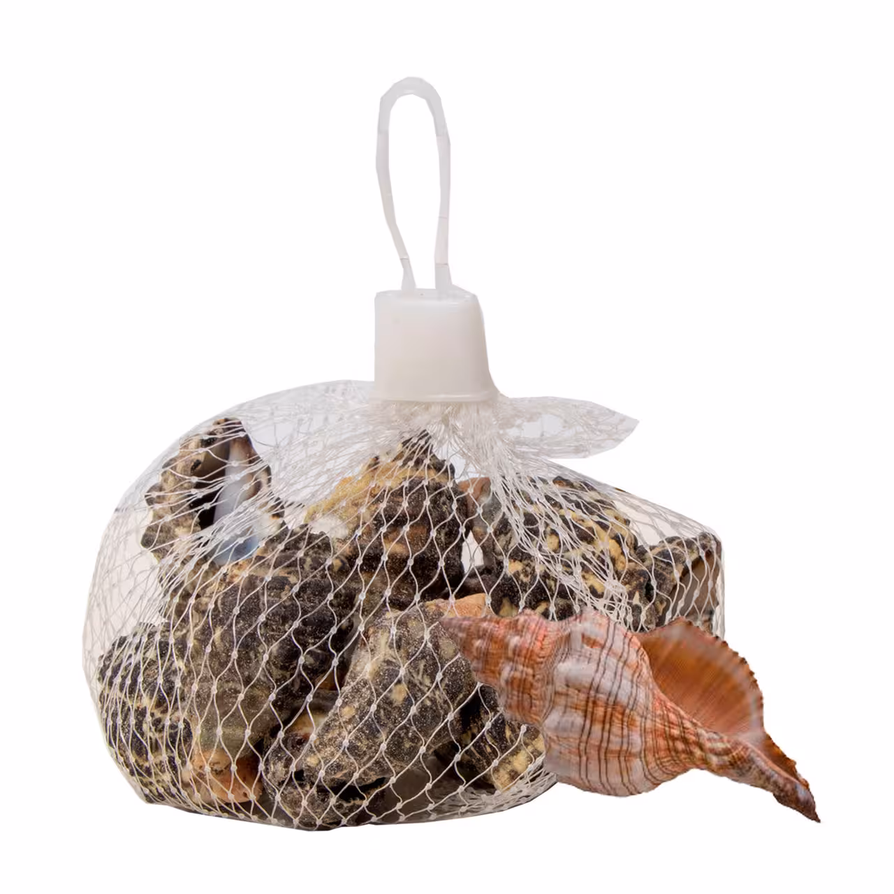 صدف تزیینی کد 99