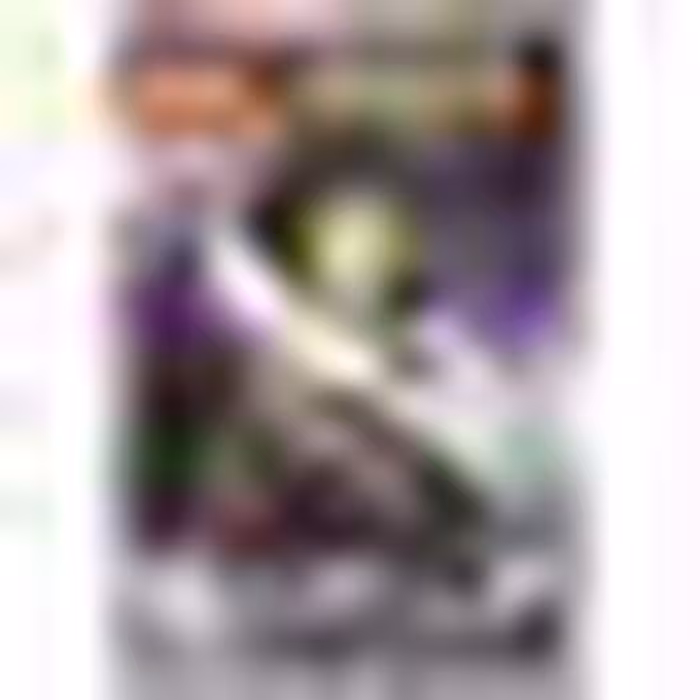 ساختنی دکول مدل Gamora کد 0265