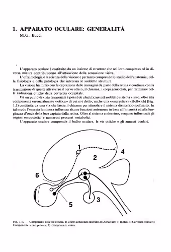 خرید و دانلود نسخه کامل کتاب Oftalmologia