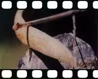 فیلم آموزشی ساخت تیر و کمان (زبان اصلی)