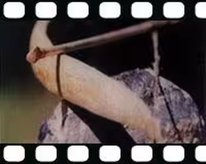 فیلم آموزشی ساخت تیر و کمان (زبان اصلی)