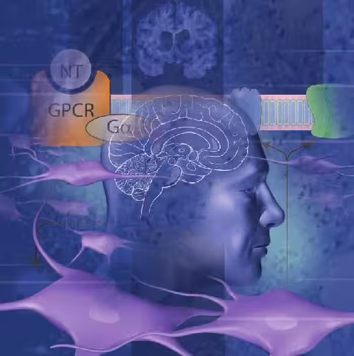 خرید و دانلود نسخه کامل کتاب Mayo Clinic Medical Neurosciences