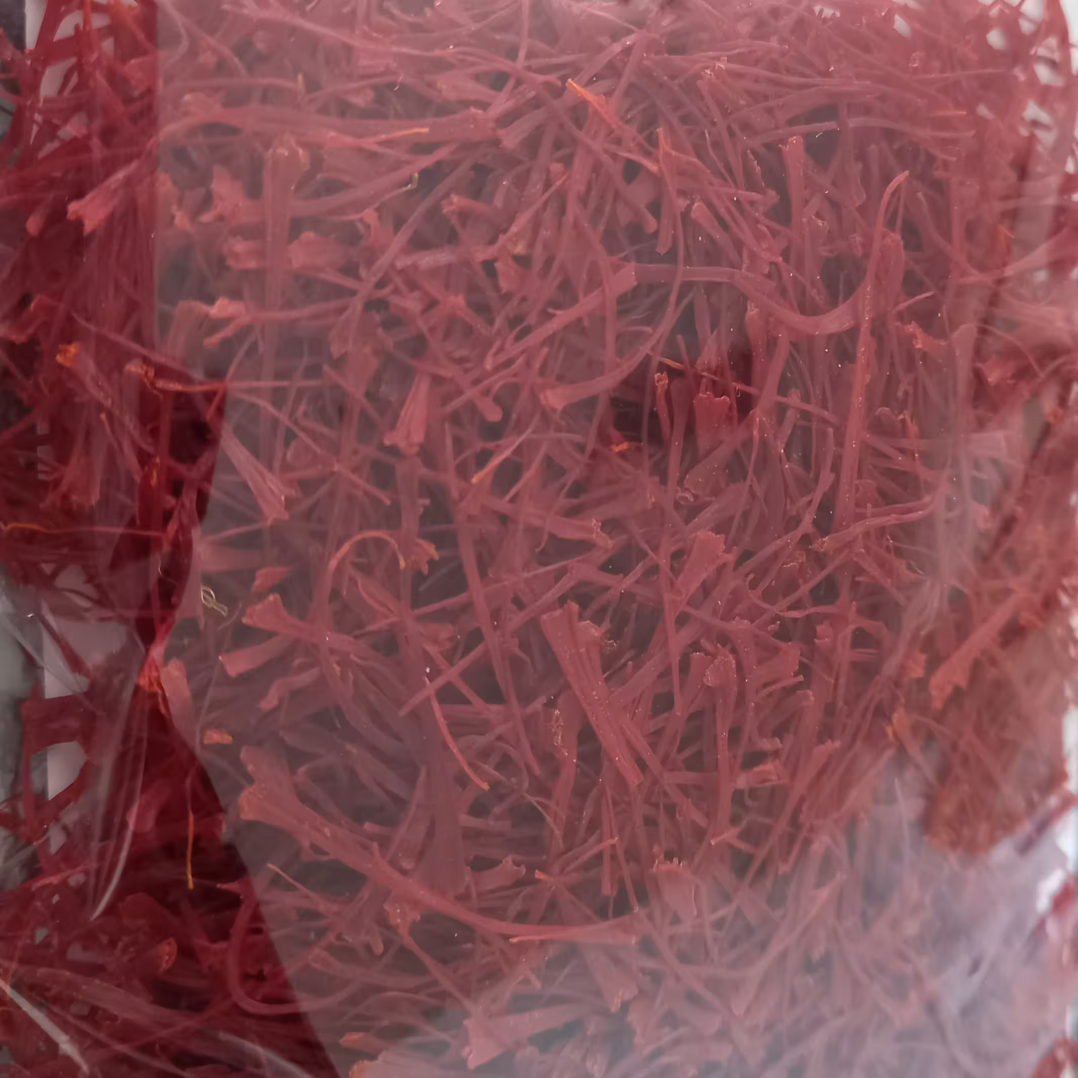 10گرم زعفران نگین درجه یک قائنات وگناباد تولید امسال 100درصدخالص 