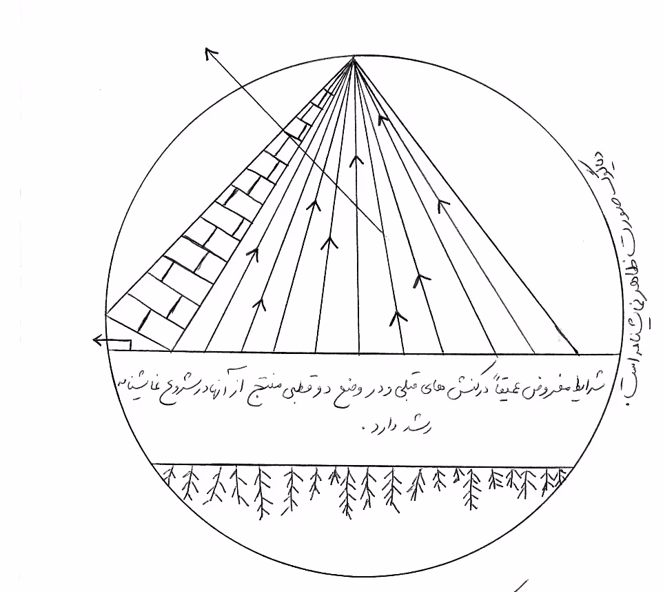 گاهی برای زنده ماندن باید مرد