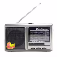 رادیو ایپی مدل FP-1525BT | کالا مکس