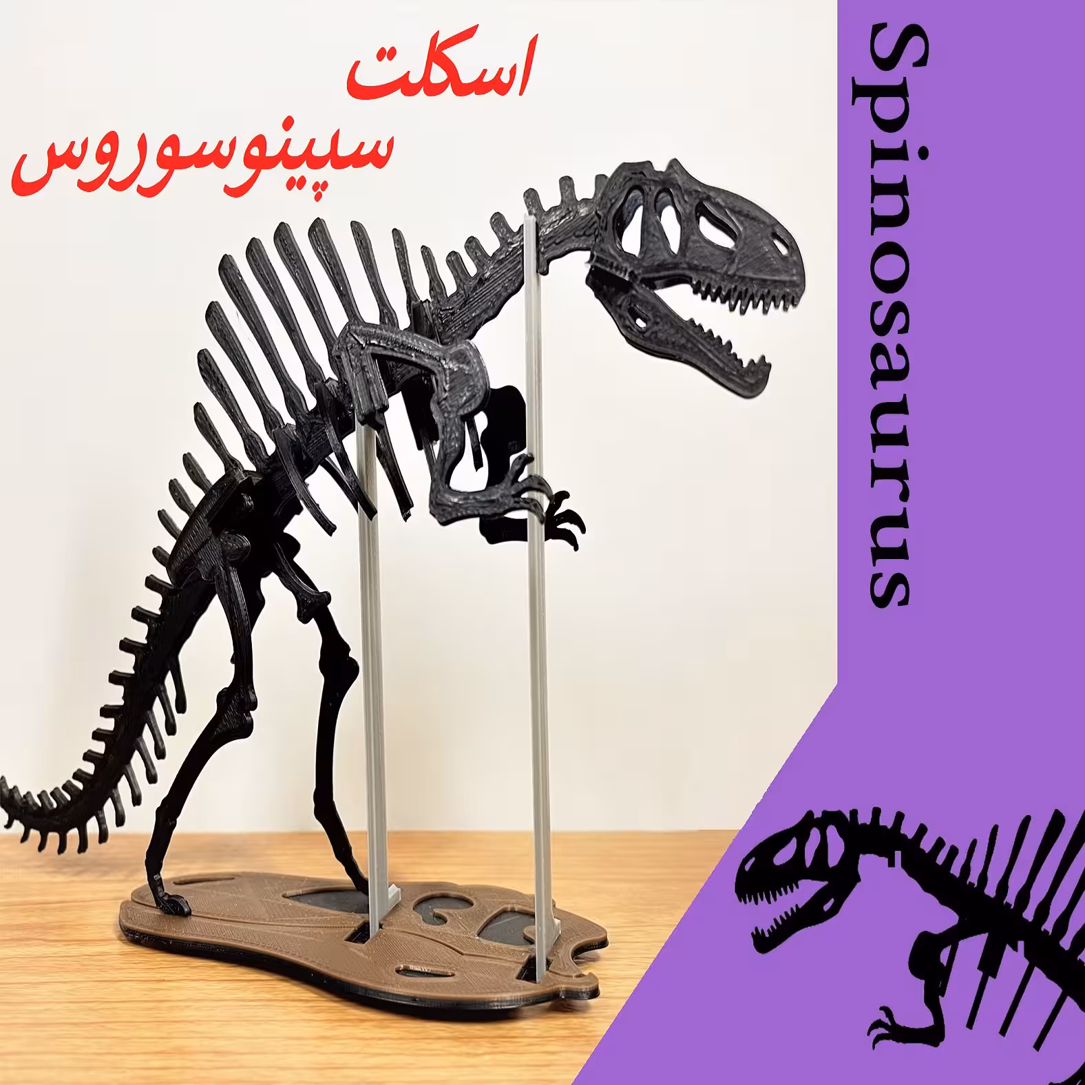 پازل و  فیگور  سه بعدی اسکلت دایناسور سپینوسوروس 