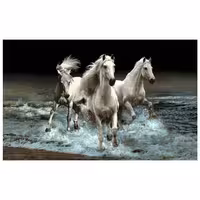 حیوانات مدل اسب کد 26006