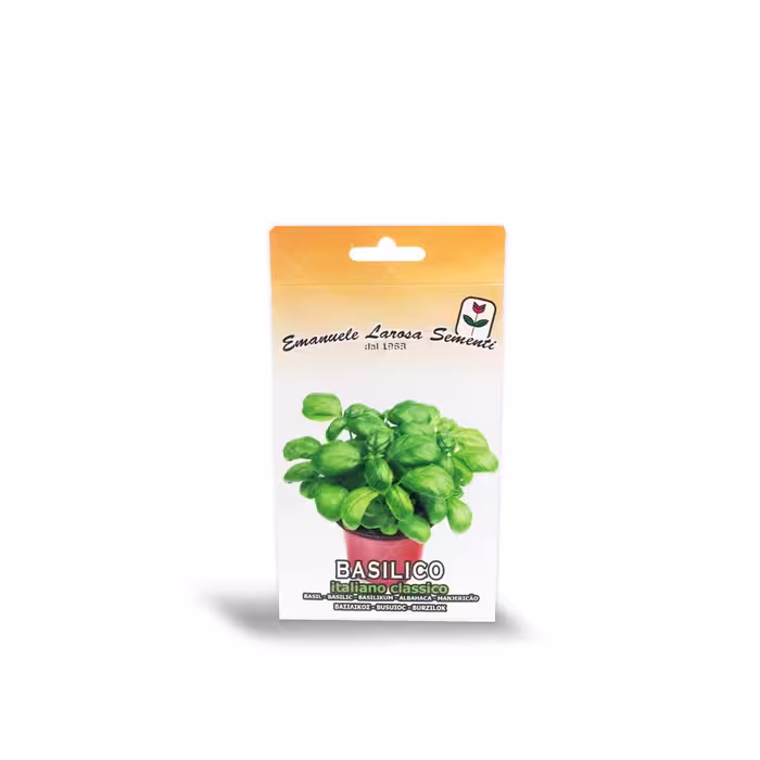 بذر ریحان معطر ایتالیایی