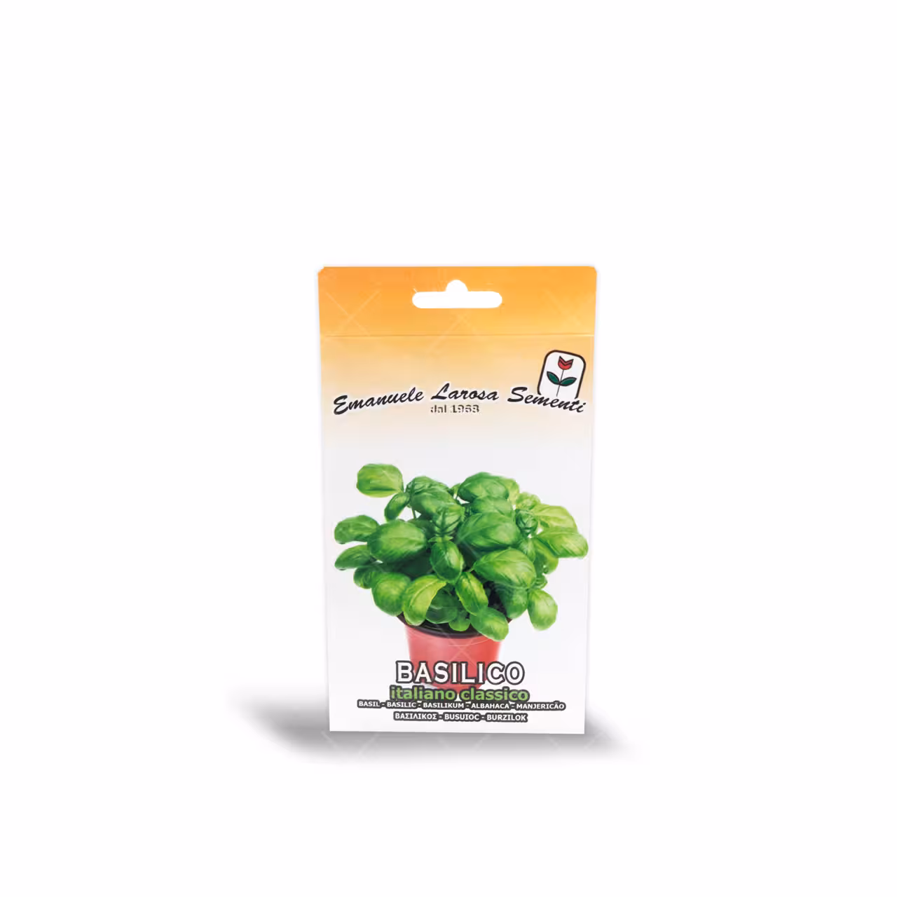 بذر ریحان معطر ایتالیایی