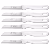 ست 6 عددی کارد میوه زولینگن (Solingen) آلمان با تیغه تیز و دسته سفید مات – انتخابی ممتاز برای آشپزخانه‌های خاص‌پسند