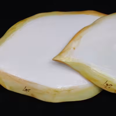 شیرینی خوری سرامیکی هیوا طرح برگ پاییز کد 10918872 مجموعه 2عددی 