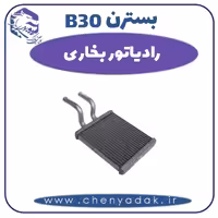 رادیاتور بخاری بسترن B30
