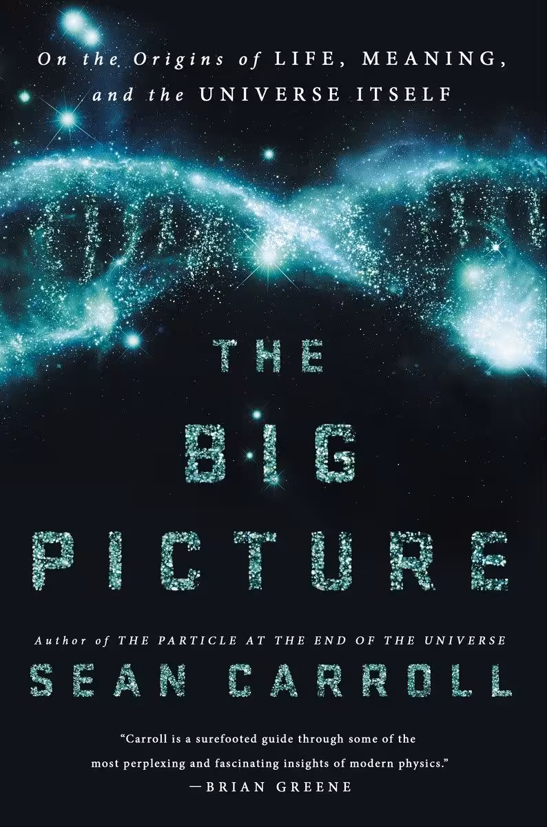 خرید و دانلود نسخه کامل کتاب The Big Picture On the Origins of Life, Meaning, and the Universe Itself