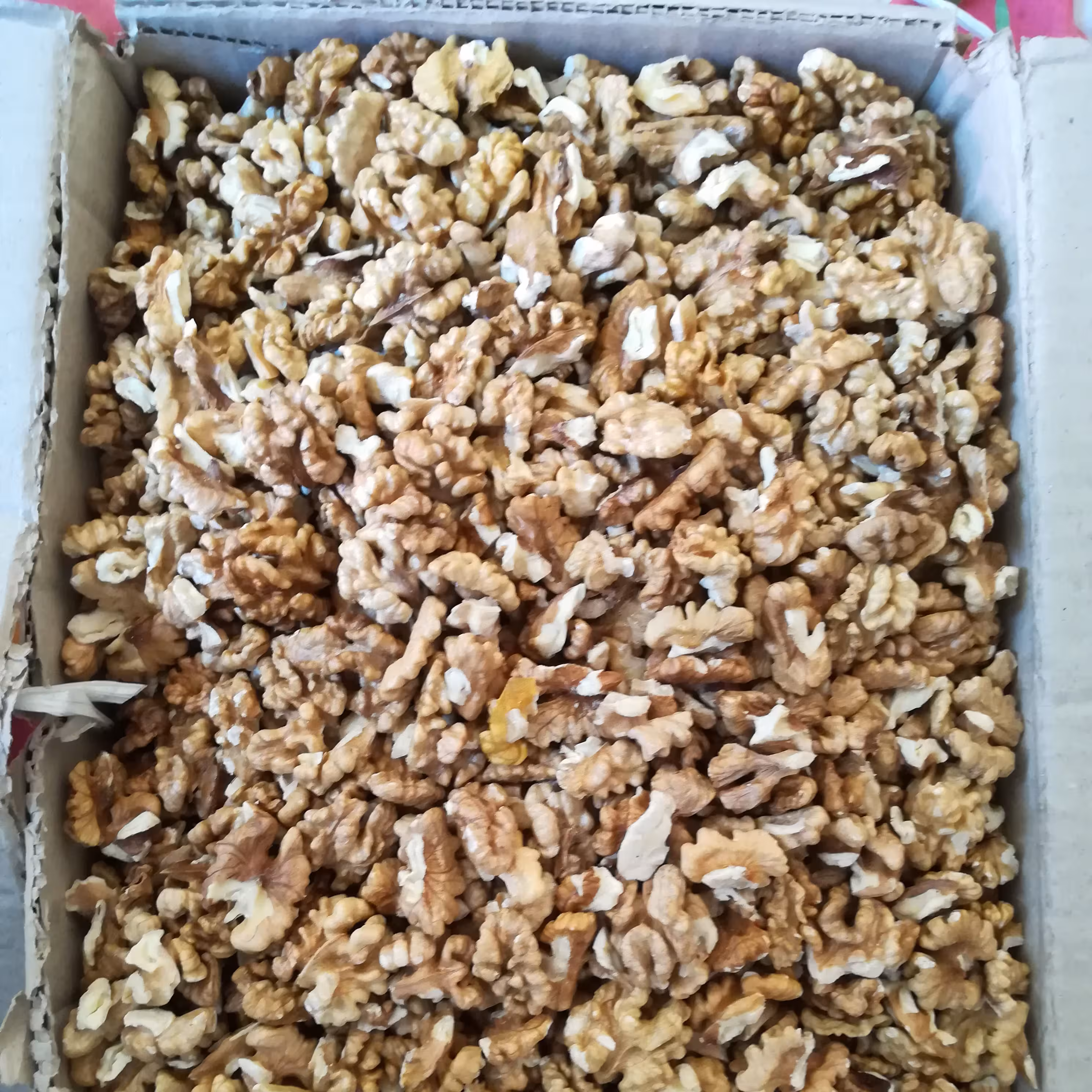 مغز گردو سفید و خوش مزه درجه یک