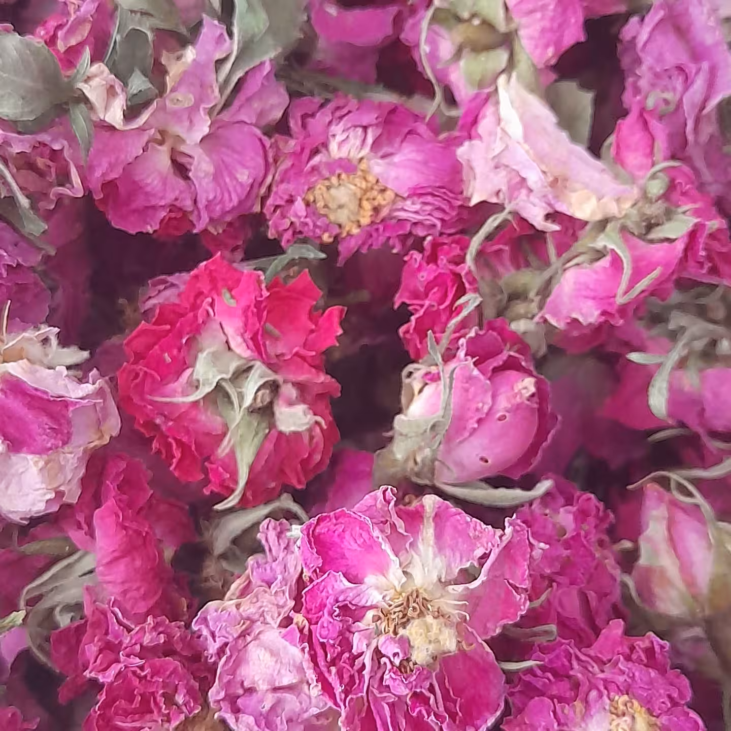 گل محمدی درجه یک لاله زار 100 گرم 