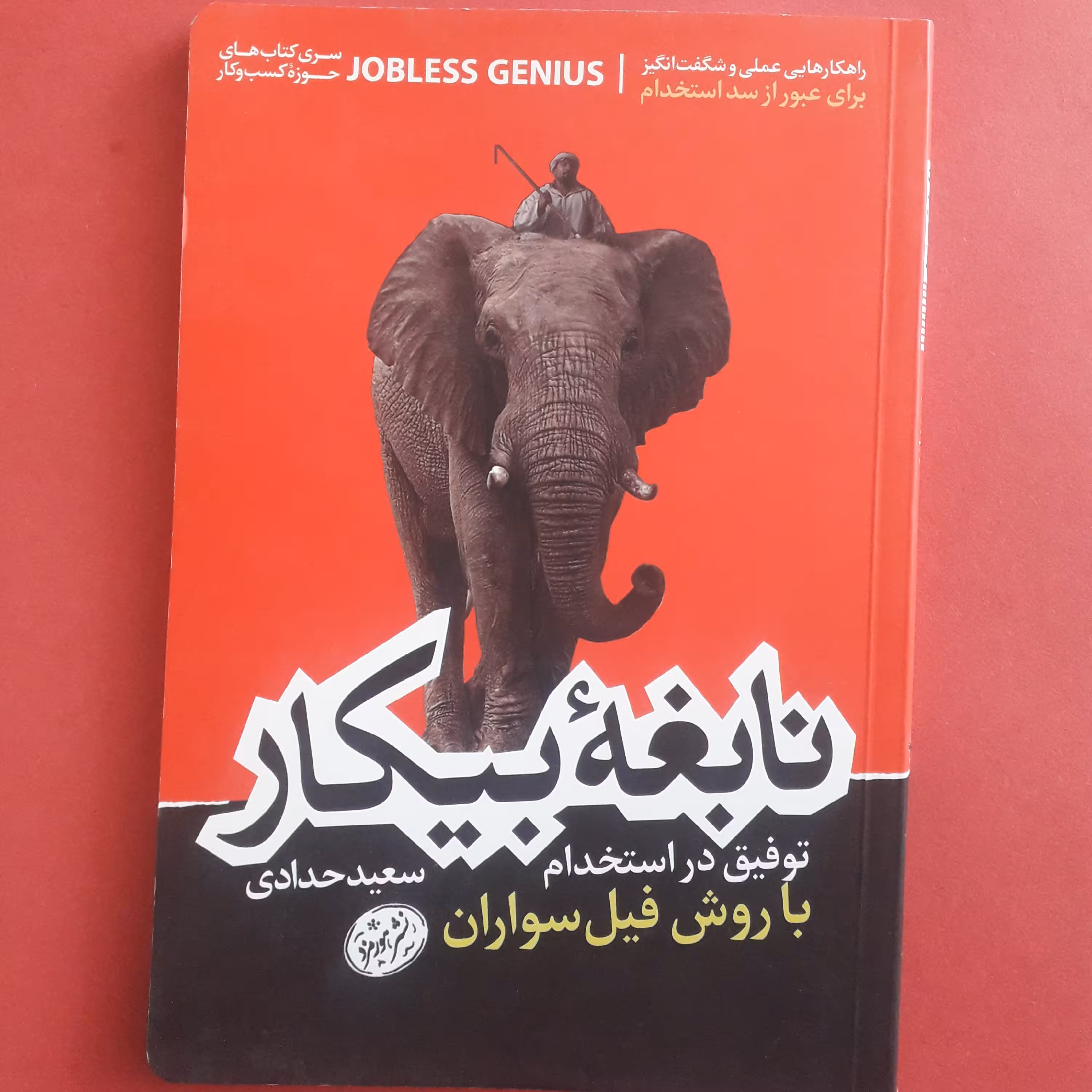 کتاب نابغه بیکار توفیق در استخدام با روش فیل سواران