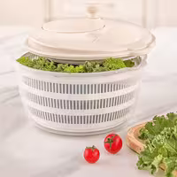سبزی خشک کن رویال لیمون