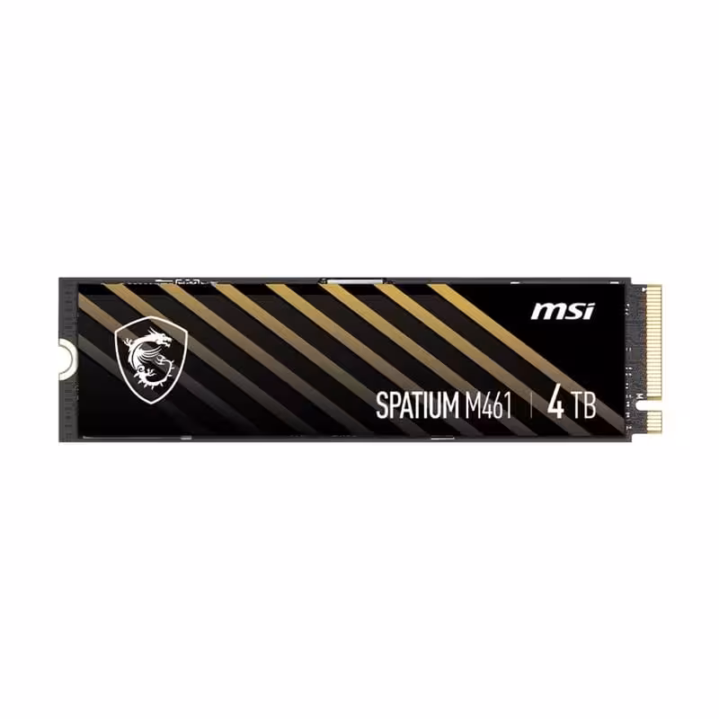 اس اس دی ام اس آی MSI SPATIUM M461 4TB