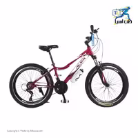 دوچرخه کوهستان الکس تراست سایز 24