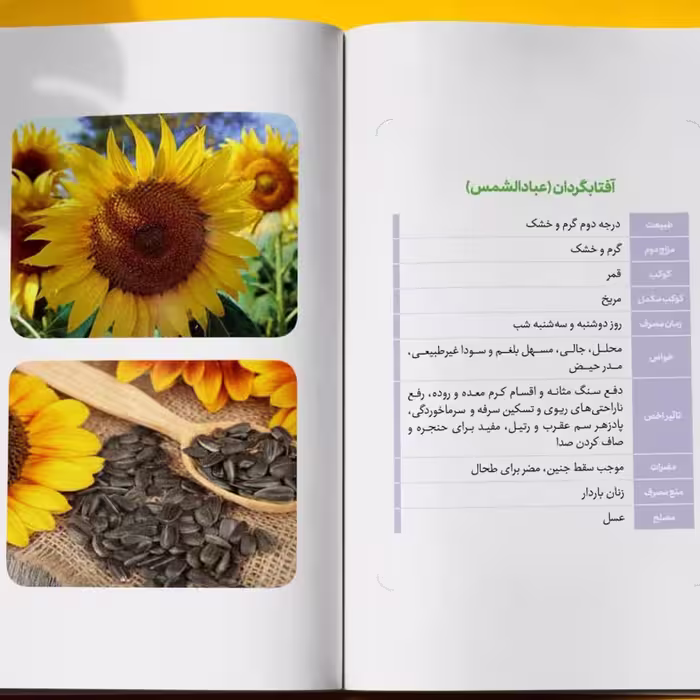 کتاب ملکوت گیاهان (جلد نرم) آشنایی با 150 گیاه پرکاربرد