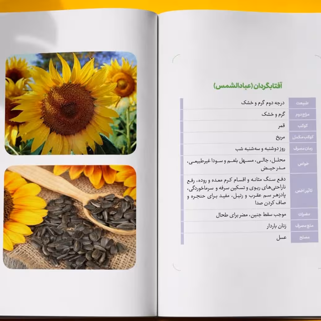 کتاب ملکوت گیاهان (جلد نرم) آشنایی با 150 گیاه پرکاربرد