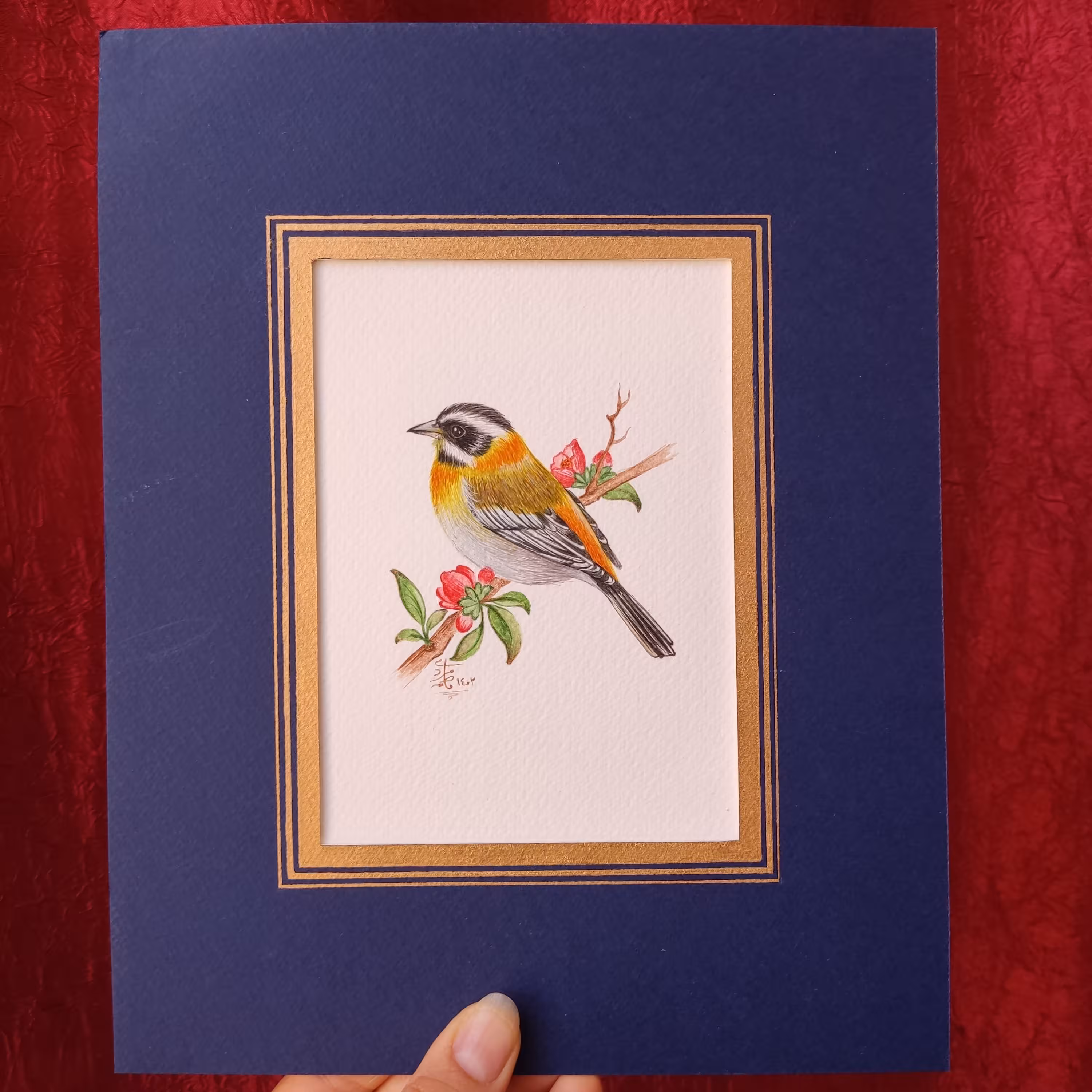 تابلو پرنده آبرنگی پرداز با پاسپارتو سرمه ای 