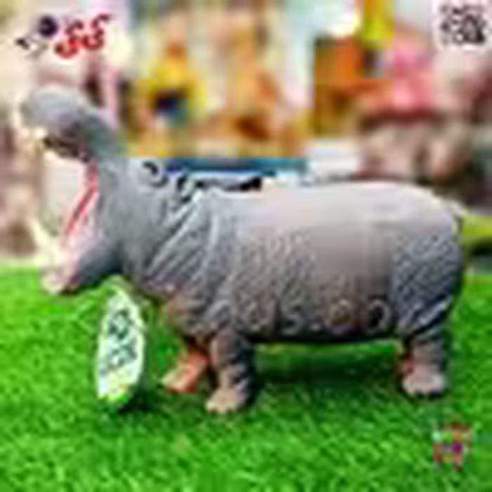 فیگور اسب آبی بزرگ و باغ وحش ANIMAL MODEL 002 – جنس نرم، طراحی واقعی، مناسب بازی و کلکسیون