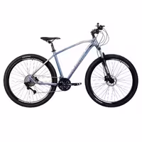 دوچرخه کوهستان کراس مدل BUCK سایز 29