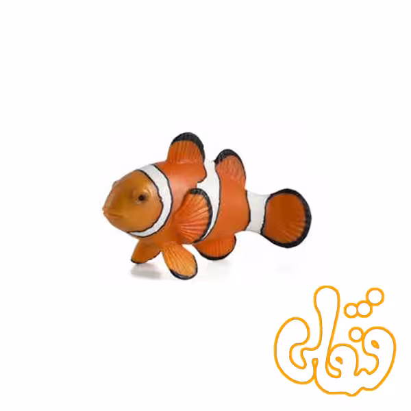 دلقک ماهی Clown Fish 387090