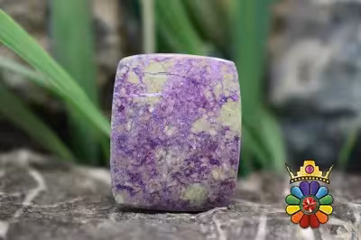 استیچ تیت (اتلانتیسیت)