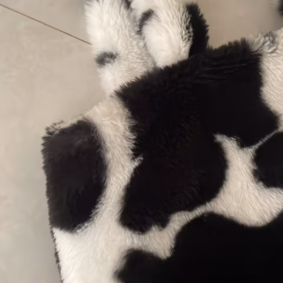 کیف بگی گاوی
