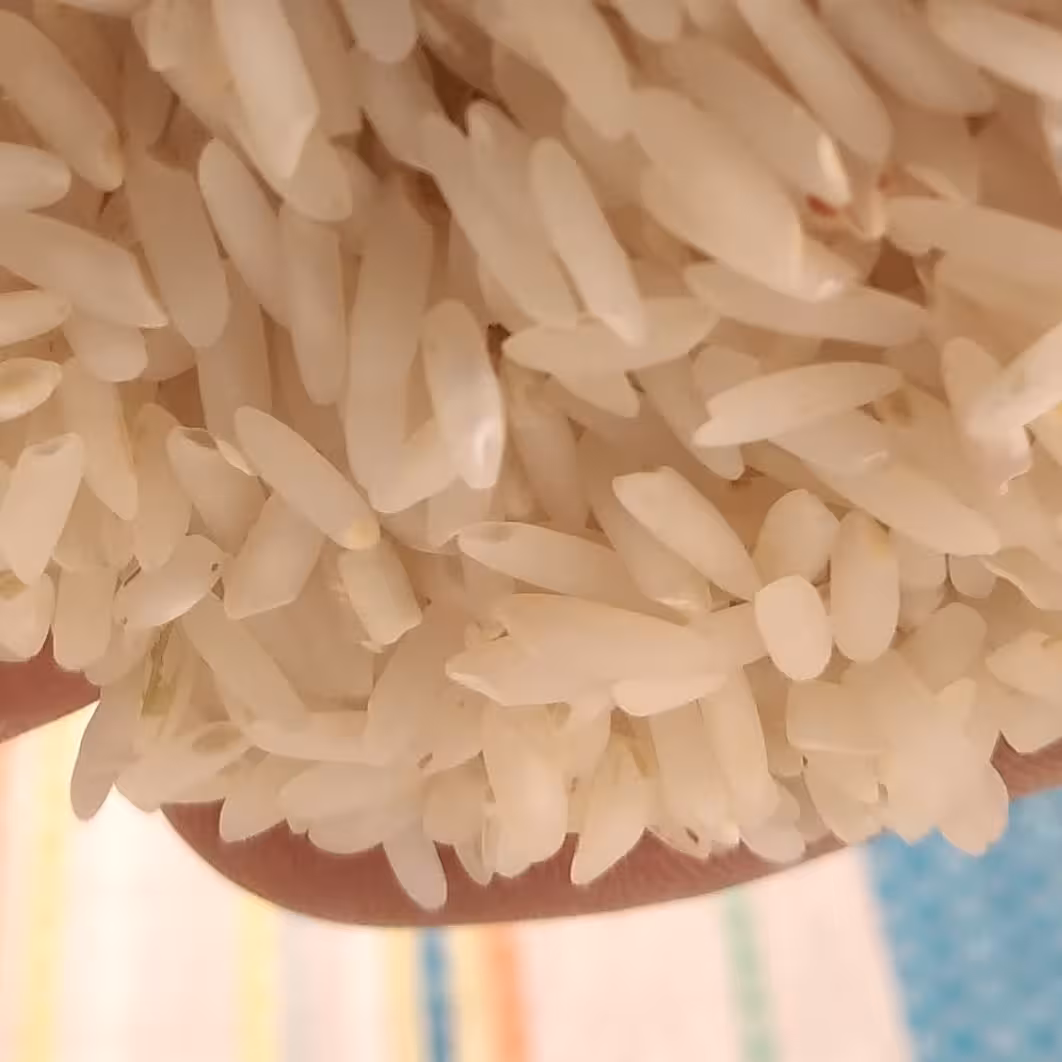 برنج امرالهی معطر  واعلاء کشت اول 1403 فریدونکنار  (بسته ی 10 کیلویی ) برنج شمال 