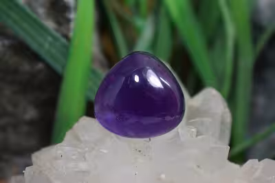 امتیست دامله(کاپوشی)