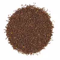 خردل قهوه ای 500 گرمی