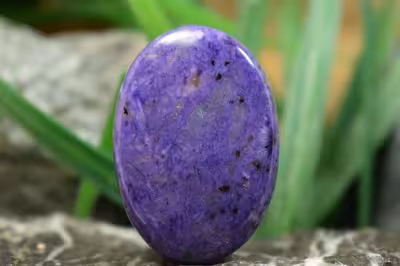 چاروئیت