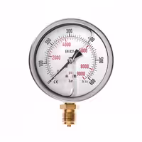 گیج فشار صفحه 10 سانت روغنی 600 بار