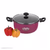قابلمه زرساب مدل CH-422 سایز 22