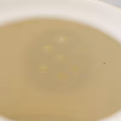 ست کتری و قوری بونئوس مدل S - 234659