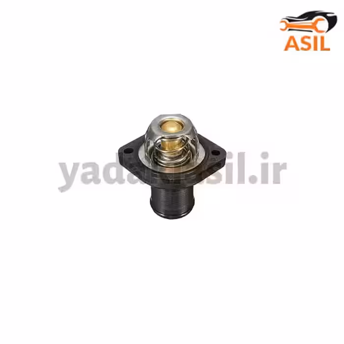 ترموستات 206 83 درجه راینو با درپوش