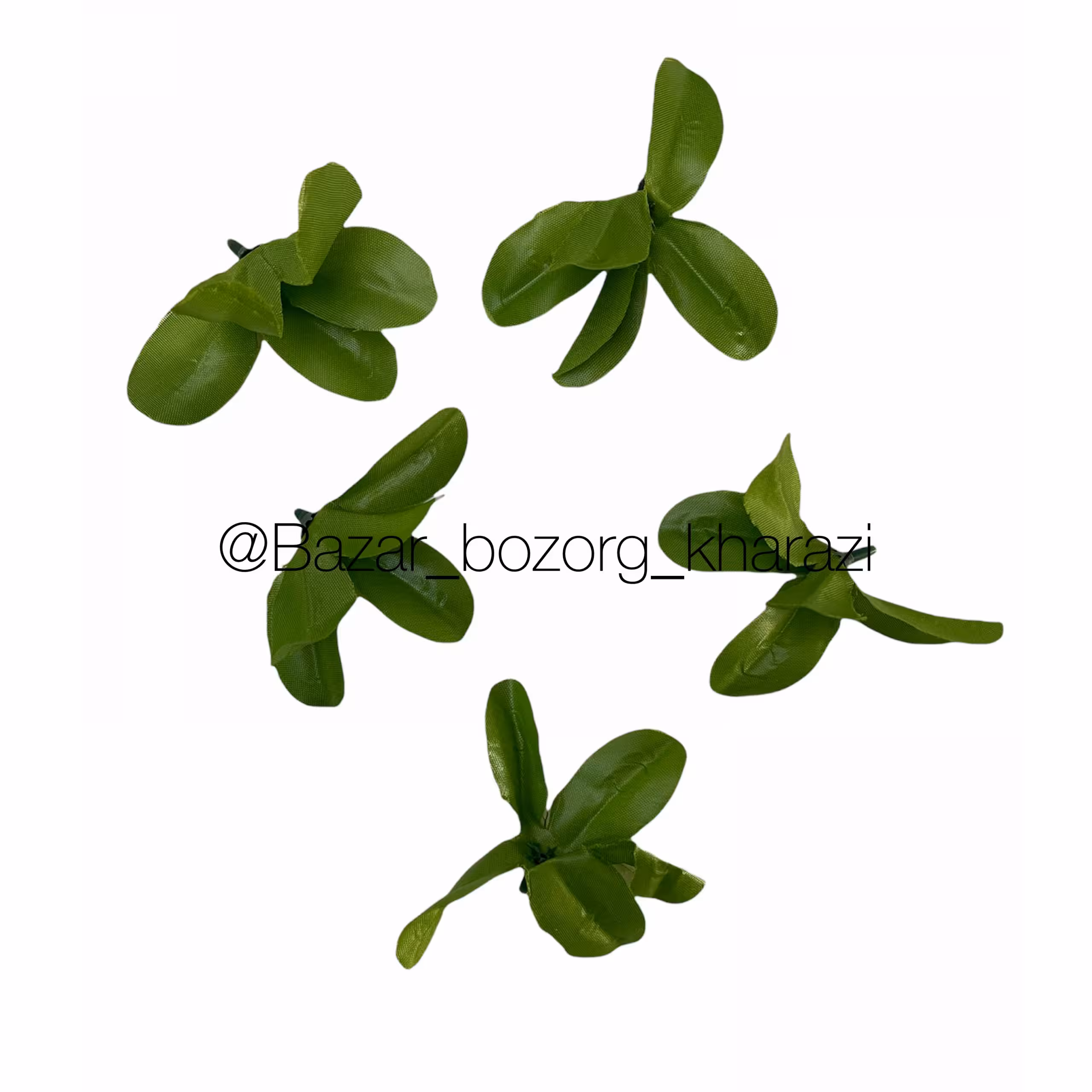 برگ 5 پر 5 تایی