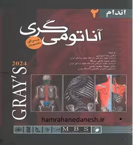 آناتومی گری رضا شیرازی جلد دوم اندام 2024