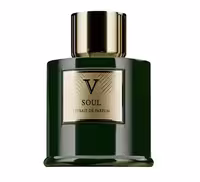 عطر مردانه ویزاری SOUL