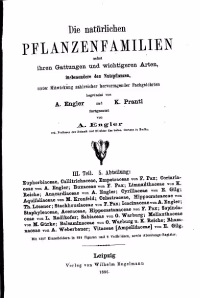 خرید و دانلود نسخه کامل کتاب Die natürlichen PFLANZENFAMILIEN. Euphorbiaceae